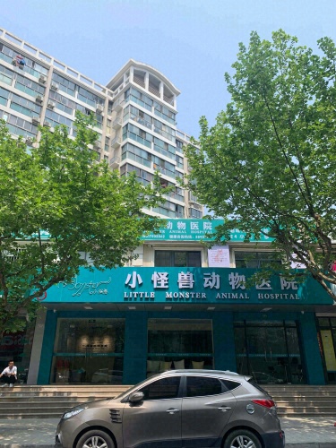 小怪兽动物医院