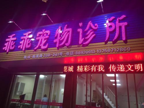 乖乖宠物诊所(南浦店)