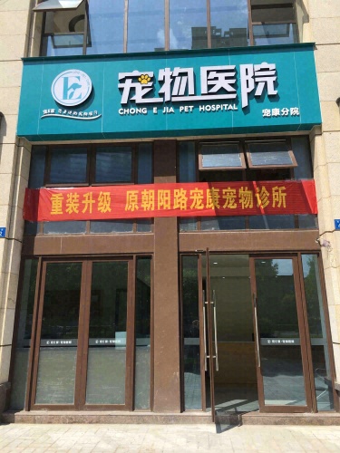 宠E家宠物医院宠康分院