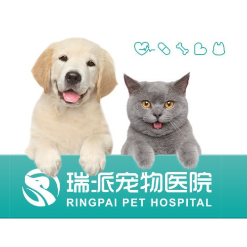 瑞派宠物医院(唐山青年路店)