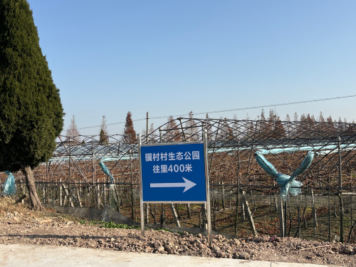 骥村村生态公园