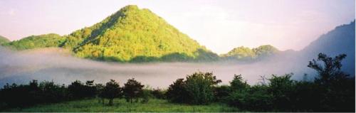 大巴山国家级自然保护区
