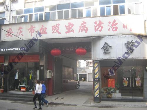 安庆市血吸虫病防治所