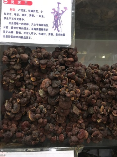 李梅灵芝特产(华佳商贸城店)