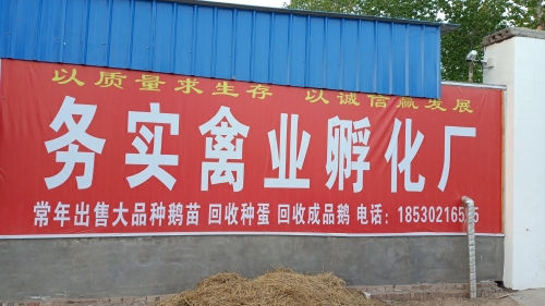 河南务实禽业孵化厂