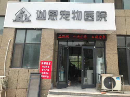 迦恩宠物医院