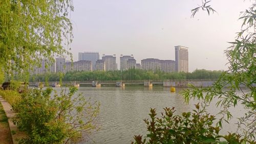 新浍河公园
