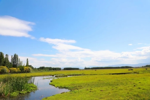 新疆·额敏河国家湿地公园