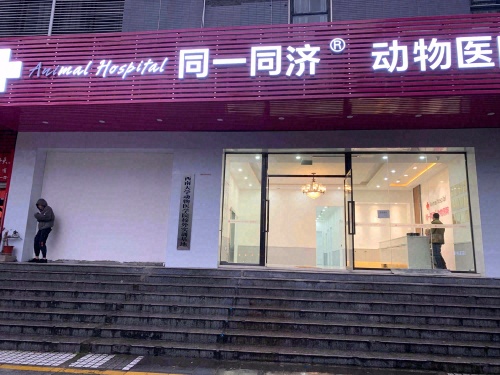 同一同济动物医院(洋河店)