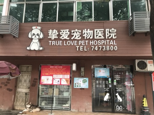 挚爱宠物医院