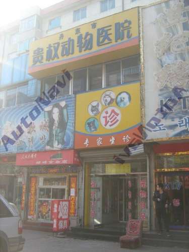贵权动物医院