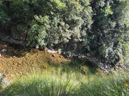 马头山原始森林