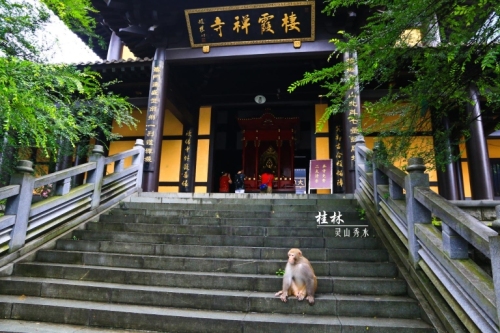 七星景区-栖霞禅寺