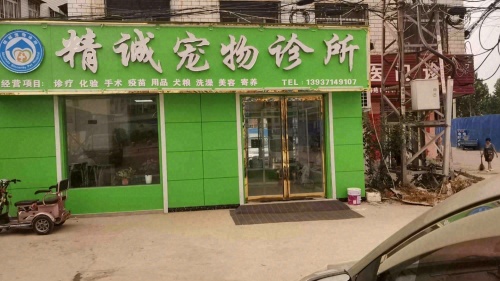 精诚宠物诊所