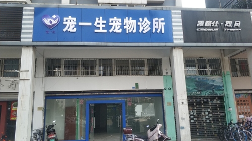 宠友宠物诊所