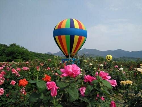 铜陵梧桐花谷景区