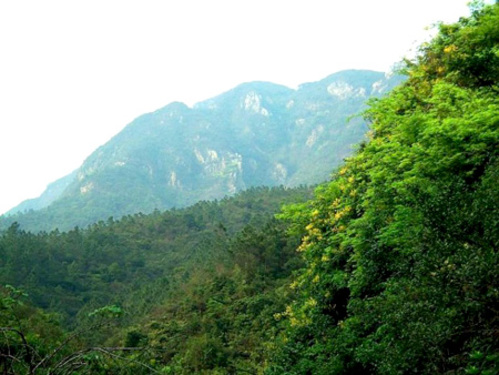 鹤山市大雁山风景区