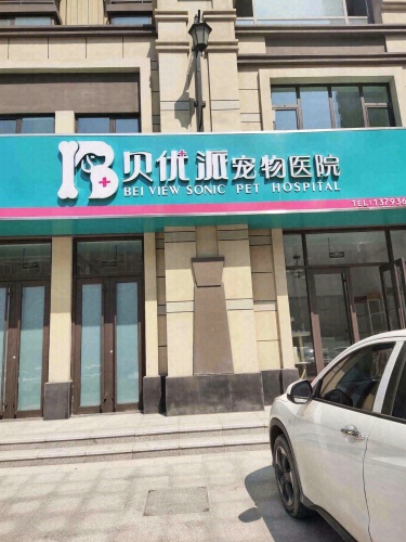 贝优派宠物医院