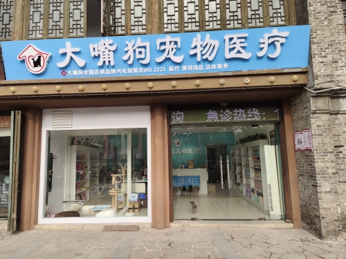 大嘴狗宠物医疗