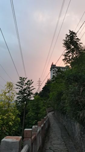 后山公园