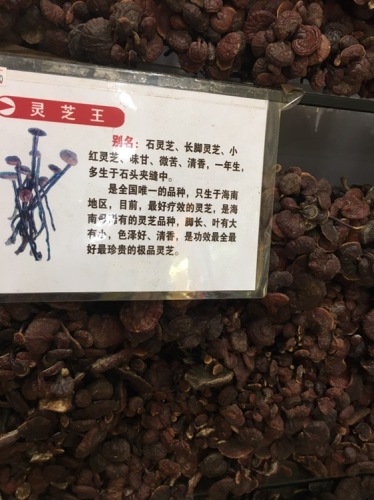 李梅灵芝特产(华佳商贸城店)
