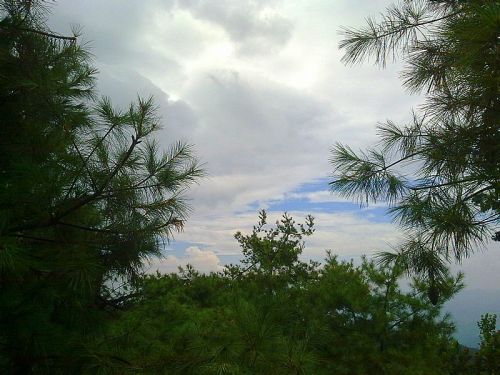 阆中盘龙山国家森林公园