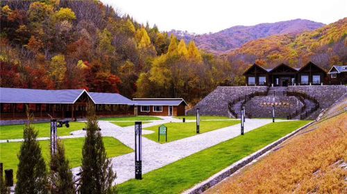 云岭野山参保护区