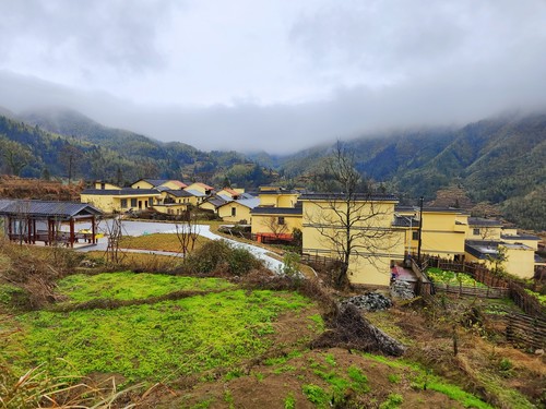 五山梯田