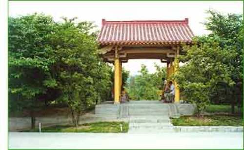 杏花公园