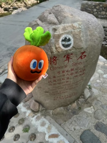 梨木台风景区-将军潭