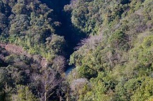 黄连山自然保护区