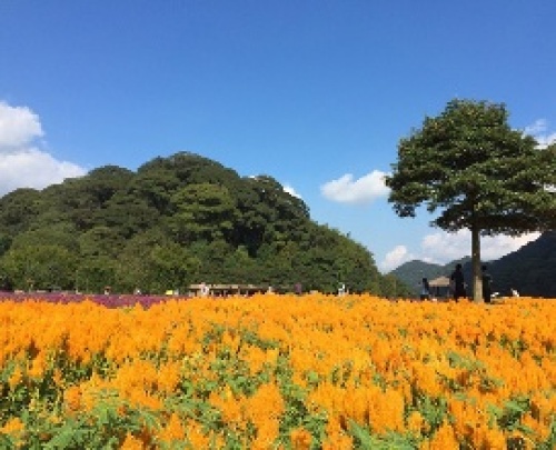 石门国家森林公园