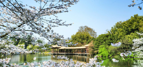 杭州西湖风景名胜区-花港观鱼