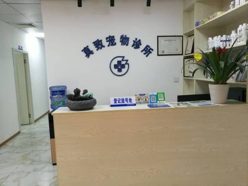 九龙坡区九龙园区真致宠物诊所