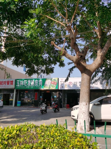 玉林旺发脆皮狗肉店(八所总店)