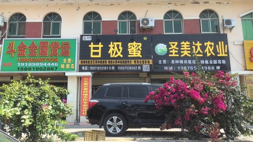 甘极蜜