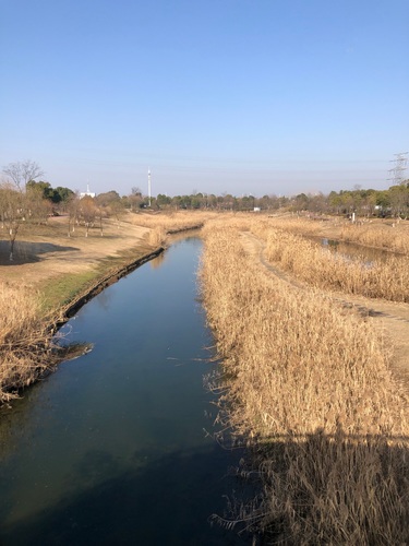 黑砂河湿地公园