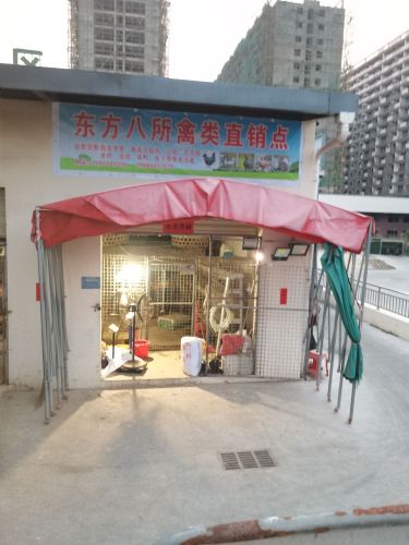 东方八所禽类直销点(万通农商·时代广场店)