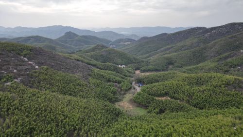 赤壁市葛仙山中国樱花园