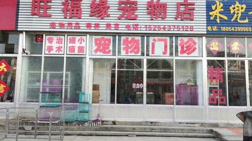旺福缘宠物门诊