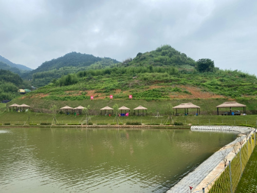 衢州飞鸿神网谷景区