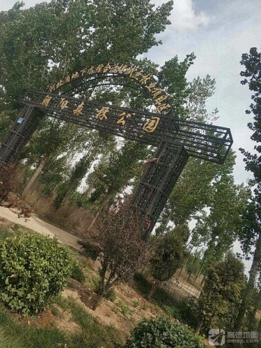 朝阳森林公园