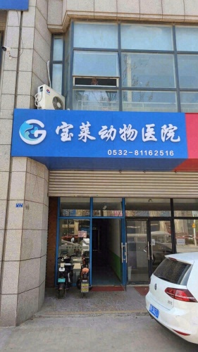 宝莱动物医院
