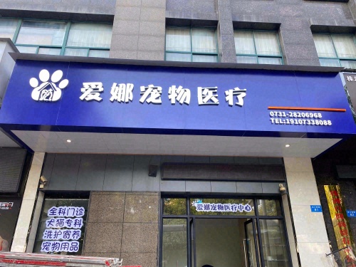 爱娜宠物医疗中心