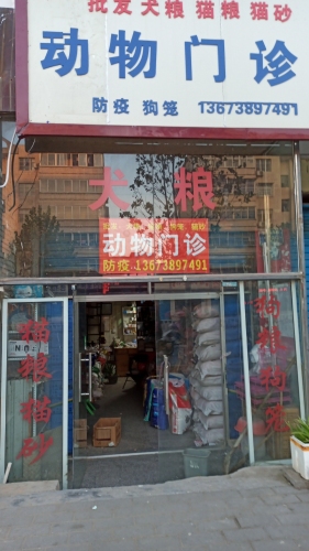 动物门诊