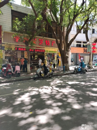 李梅灵芝特产
