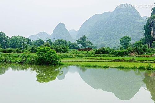 宜昌长江公路大桥