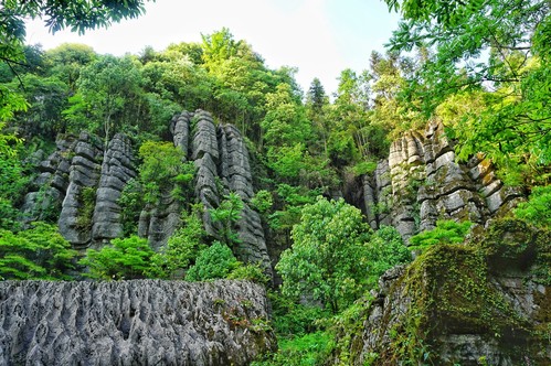 梭布垭石林景区