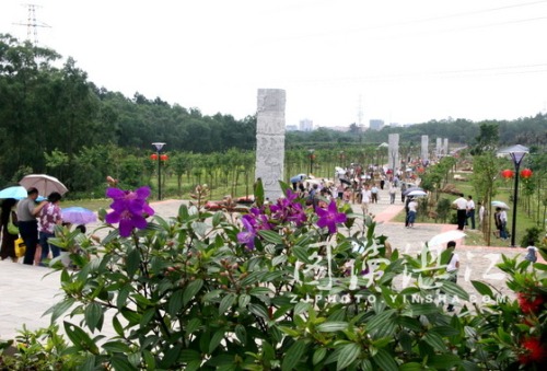 南国热带花园