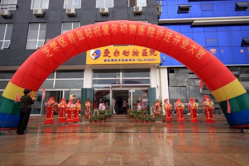 爱尔动物医院